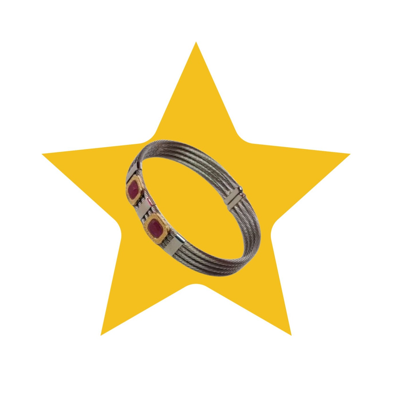 Pulsera de Acero con Incrustación 2 Piedras Preciosas en Color Rojo