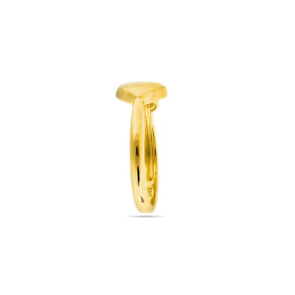 Anillo Luxenter de Plata de Ley 925 y Circonita Brillante acabado oro amarillo de 18k - Pesha - JOYERIA AMAZ JOYAS